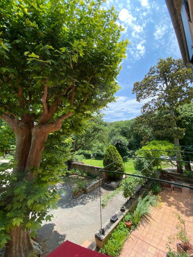 Chambre Privee Chez L'Habitant カルパントラ エクステリア 写真